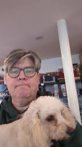 Battletech Miniatures Now Available for the Holidays