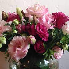 Maybe you would like to learn more about one of these? Sherman Oaks Florist Flower Delivery By Jasmine Blue Flowers Plants Gifts