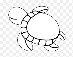 Bagian tengahnya terdiri dari bentuk oval yang tidak beraturan. Sea Turtle Dessin Anime Drawing Kura Kura Sudut Putih Png Pngegg