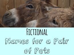 Cat lovers like us get so much joy and laughter from our sweet little felines, so why not select clever cat names which will capture the personality of our kitten? 500 Cute And Clever Names For Pairs Of Pets Pethelpful By Fellow Animal Lovers And Experts