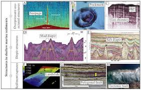 Maybe you would like to learn more about one of these? Jmse Free Full Text Structures In Shallow Marine Sediments Associated With Gas And Fluid Migration Html