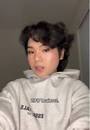 Paul Grohmann Hibrain