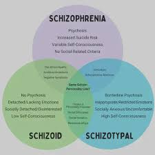 Image result for Schizozygia