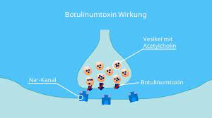 Synapsengifte Wirkungen Und Beispiele Mit Video