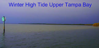 33 Ageless Florida Gulf Coast Tides