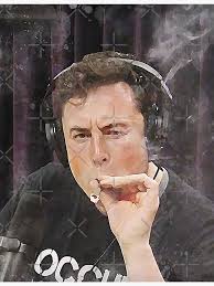 images?q=tbn:ANd9GcRwMVq9wmLb70RAoOKN3cf