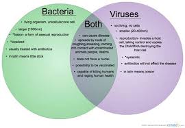 Orthology was determined based on 7,295 tomato and 6,059 rice root trap expressologs that have a reciprocal match and a positive expression correlation with arabidopsis. Viruses Vs Cells Venn Diagram Shefalitayal
