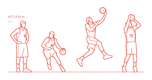 He's having 5 pts 3 rbs 2 as of average in. Luka Doncic Dimensions Drawings Dimensions Com