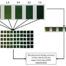 Printed Leaf Color Chart Download Scientific Diagram