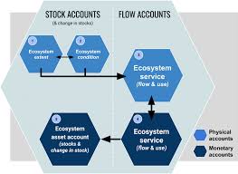 Ecosystem Accounting System Of Environmental Economic Accounting