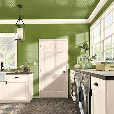sassy grass behr premium plus paint colors b370316 66 600