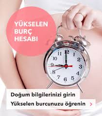 Koc Annesi Ile Ikizler Cocugu Burc Uyumu Burclar Ikizler Koc Kadin