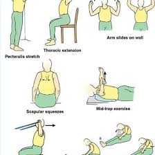 Pin On Physical Therapy
