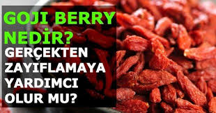 Herbalist Adnan Yildirim Sifali Bitkiler Bitkilerin Faydalari Bitkilerin Yan Etkileri Berry Diyet Yag Yakma