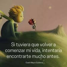 Pin En Imagenes Del Principito