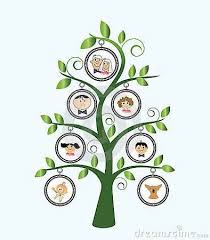 how to draw family tree chart bismi margarethaydon com