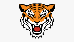 Download 1,632 tiger head free vectors. Simple Tiger Face Drawing Free Transparent Clipart Clipartkey