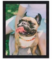Limited time sale easy return. 25x40 Black Wood Picture Frame With Acrylic Front And Foam Board Backing For Sale Online Ebay