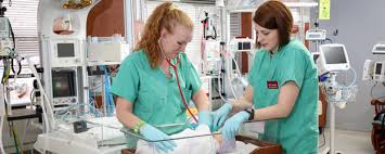 Blanchfield Army Community Hospital Health Services Women S Health Pregnancy Mother Baby Unit