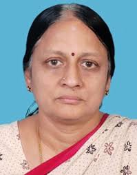 Advances in Multidisciplinary Analysis and Optimization