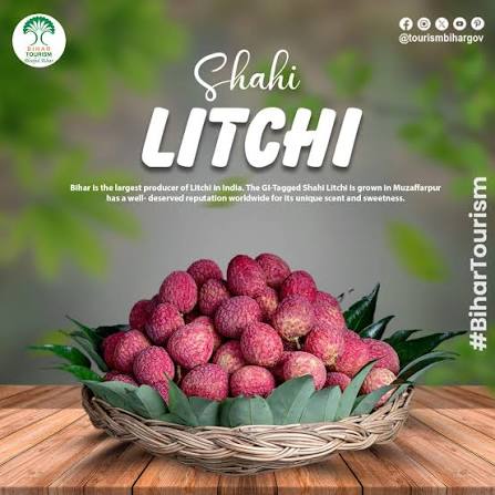 Savoring Shahi Litchis: Muzaffarpur's Sweet Summer Harvest