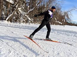 Cross country is possible in groomed trails or in untouched snow. Notchview The Trustees Of Reservations