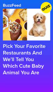 Pick Your Favorite Restaurants And We Ll Tell You Which Cute Baby Animal You Are Quizzes For Fun Quizzes For Kids Animal Quiz