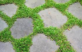 Don T Make These Mistakes When Installing Artificial Grass