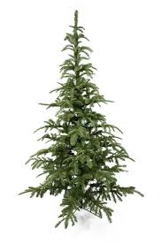 The noble fir elegantly displays realistic needles that cluster to form full sprays, creating lifelike symmetry and a distinctive, endearing personality. Artificial Noble Fir Christmas Tree Just Artificial