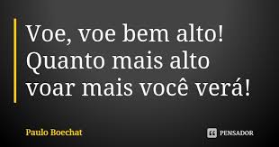 Voe Voe Bem Alto Quanto Mais Alto Voar Paulo Boechat