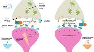 It's simple to save today! Aripiprazole Mechanism Of Action Clinical Efficacy And Side Effects