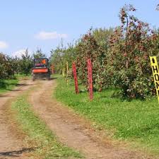 Hours may change under current circumstances Sekapp Orchard 12 Photos 10 Reviews Fruits Veggies 3415 Collegeview Rd E Rochester Mn Phone Number