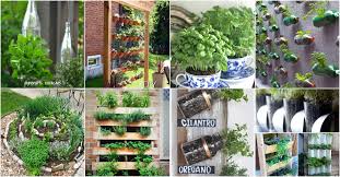 Herbs should be grown in soil that's at least 4 to 5 inches deep, says the national gardening association. 18 Brilliant And Creative Diy Herb Gardens For Indoors And Outdoors Diy Crafts