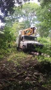 Maybe you would like to learn more about one of these? All Aspects Tree Services Ltd Home Facebook
