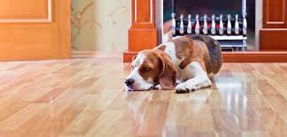 What Is The Safest Way To Remove Paint From Laminate Flooring Matt The Painter Billings Mt