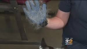 As seen on tv finishing touch yes! As Seen On Tv Products Truetouch Pet Glove Youtube