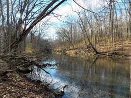 Check spelling or type a new query. John Bryan State Park Trekohio