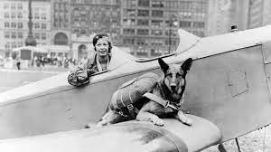 It was first identified in december 2019 in wuhan,. Flying With A Dog Everything You Need To Know Conde Nast Traveler
