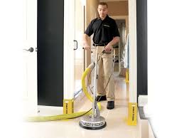 Your reliable ottawa carpet cleaning company. Stanley Steemer 5611 Wellington Rd 107 Gainesville Va 20155 Usa