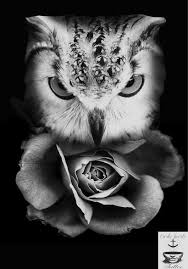 Black And White Owl And Rose Tattoo Designs Pin By Vanessa Gory On Owls Owl Tattoo Realistic Owl Tattoo Owl Tattoo Design
