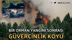 Mugla'nın bodrum ilçesinde orman yangını çıktı. Bir Orman Yangini Sonrasi Guvercinlik Koyu Youtube