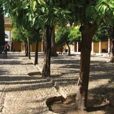 Das sommergrüne und dekorative klettergehölz wird gern in kübeln gehalten und lässt. Pdf The Origins Of Botanic Gardens And Their Relation To Plant Science With Special Reference To Horticultural Botany And Cultivated Plant Taxonomy