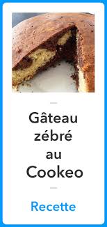Gateau Zebre Au Cookeo La Meilleure Recette Recette Recette Cookeo Recette Recette Cookeo Dessert