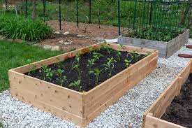 Raised Garden Beds Dreamscapes Landscaping