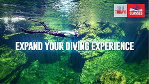 Scuba Classes Tampa Scuba Diving Classes Tampa Fl 813 832 6669