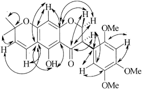 Image result for Erythrina sacleuxii