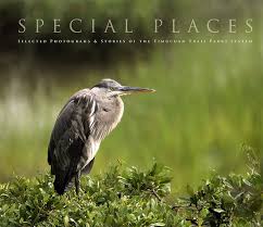 Wiki researchers have been writing reviews of the latest coffee table books since 2015. Special Places Photo Book Will Dickey Florida Fine Art Nature And Wildlife Photography Images Of Florida S First Coast Nature And Landscape Photographs Of Jacksonville St Augustine Florida Nature Preserves