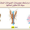 الاسفنجيات sponges أو poriferans هي حيوانات تشكل شعبة مستقلة تدعى شعبة الاسفنجيات porifera. 1