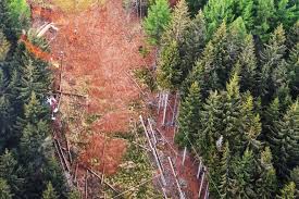 Mottarone tourism mottarone hotels mottarone vacation packages flights to mottarone mottarone restaurants things to do in mottarone mottarone travel forum mottarone photos. In Un Video La Tragedia Del Mottarone La Fedelta