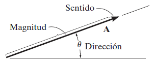 Un vector se representa gráficamente, como un segmento dirigido de recta de un punto p llamado punto inicial o origen a otro punto q llamado punto terminal o termino. Vectors In The Plane Application Center